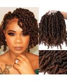 3 Packs Short Curly Spring Pre-twisted Braids Syntheti Crochet Hair Extensions 10 inch 15 strands/pack Ombre Fiber Fluffy Twist Braiding Hair Bulk (10 T1B/30) 10 Pre-twisted (pack of 3) T1B/30 - Buy Online on GoSupps.com