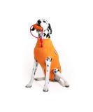 Buy MPS Medical Pet Shirt for Dogs - Orange Medium Size | Comfortable & Stylish Recovery Wear - Buy Online on GoSupps.com