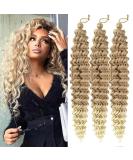 22 Inch Allgro Ocean Wave Crochet Hair 3 Packs - Deep Twist Braiding Hair Extension in 27/613# Color - Buy Online on GoSupps.com