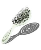 CHIARA AMBRA Bio Friendly Detangling Brush - No Tugging Detangler for Thick & Curly Hair or Extensions - Vegan Vent Hairbrush - Green - Buy Online on GoSupps.com