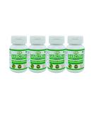Buy Natural Pure Herbal Garcinia Cambogia Extract Capsules - Highest Potency 100% Herbal | 60 Veg. Capsules (Pack of 4) - International Shipping Available - Buy Online on GoSupps.com