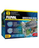 Fluval Medium Multi-Chamber Holding and Breeding Box - Ideal for Fish Breeding and Holding - Buy Online on GoSupps.com