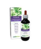 Baldrian (Valeriana officinalis) Roots Tincture | Naturalma 200ml - Vegan Non-Alcoholic Dietary Supplement - Buy Online on GoSupps.com