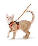 Rabbitgoo Breakproof Cat Dishes & Adjustable Soft Harness - Reflective Orange Kitten/Puppy Leash & Dishes for Cats Small Dogs & Rabbits - 1 Pack - Buy Online on GoSupps.com