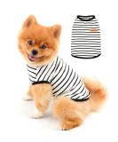 Buy Paidful British Dog Shirt & Striped Cat Vest - Soft Cotton T-Shirt for Boys | Summer Puppy Clothing for Chihuahua & Yorkie - Tank Tops in Black (S) - Buy Online on GoSupps.com