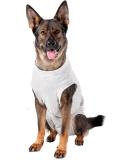 Buy Karlie Safety Body - Medical Care Cotton for Pets | 56 cm Grey - International Shipping Available - Buy Online on GoSupps.com