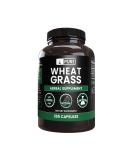 Pure Wheat Grass Capsules (365 Count) - No Magnesium or Rice Fillers - Lab Verified, Always Pure - Buy Online on GoSupps.com