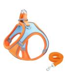 Shop Giapinst No Pull Dog Harness for Small Dogs - Adjustable Breathable Mesh Reflective Stripes - Medium Size (L) Available in Orange & Blue - Buy Online on GoSupps.com