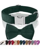 Asvin Velvety Dog Collar - Soft & Comfortable XL in Green with Removable Dog Fly | Perfect for Weddings Birthdays & Parties | Multi-Color Options Available - Buy Online on GoSupps.com