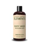 NATURAL AMERICAN ELEMENTS Men's Body Wash - Paraben & Sulfate Free Shower Gel for All Skin Types - Hydrating Cleansing Nourishing - 16 oz Made in USA - Masculine & Natural Scent - Buy Online on GoSupps.com