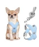 Pawaboo Adjustable Dog Harness & Leash Set - X-Frame Anti-Choke Vest for Small & Medium Dogs - Breathable Blue Design for Puppies - Buy Online on GoSupps.com