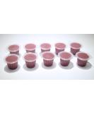Jelly Fruit Pots Reptile Food - Protein Jelly Fruit Cups for Lizards Gecko Insects Birds Parrots - Bulk Packs (Calcium 10) - Buy Online on GoSupps.com