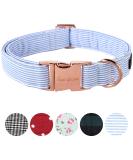 Buy Unique Adjustable Blue Stripes Dog Collar & Leash for Small Medium and Large Pets - International Shipping Available - Buy Online on GoSupps.com