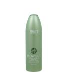 Buy Surface Hair Blowout Shampoo & Conditioner - Organic Heat Protector with Babassu Oil | International Shipping Available - Buy Online on GoSupps.com