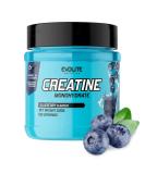 Evolite Nutrition Creatine Monohydrate 500g - Blueberry Flavor Creatine Powder for Pre Workout Boost - Premium Quality Creatine with Taurine - Buy Online on GoSupps.com