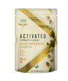 Organic Sprouted Salted Pumpkin Seeds | Non-GMO, Gluten-Free, Vegan, Kosher - 8oz - Buy Online on GoSupps.com