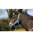 Buy Rhinegold Nylon Halter - Shetland Pony Cob Full & Extra Full in Baby Blue | International Shipping Available - Buy Online on GoSupps.com