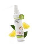 Jean K. Vet Anti-U rin ation & Scratch Defense Spray 100ml - Odorless Cat & Dog Protection Remote Stop Spray for Furniture Anti-Scratch & Nibble Shield - Buy Online on GoSupps.com