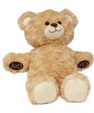 HealthPozitive MediTeddi: Electronic Medication Reminder & Talking Health Monitor Teddy Bear - Best Pill Tracker for Adults & Kids - Buy Online on GoSupps.com