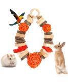 Shop Abiz Wooden Rabbit Toy & Dental Care Treats for Small Animals | Ideal for Hamsters Chinchillas Guinea Pigs & Mice - Buy Online on GoSupps.com