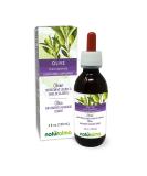 Olive Leaf Tincture Naturalma | Alcohol-Free Liquid Extract 4 fl oz | Herbal Supplement Vegan Made in Italy - Buy Online on GoSupps.com