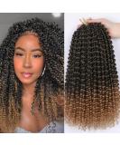 Passion Twist Hair Extensions - 12 Inch Crochet Braids (7 Pack) | T1B-27# | Bohemian Style | International Shipping Available - Buy Online on GoSupps.com