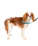 Petsafe Easy Walk Deluxe Harness & 1.8m Leash - Tear-Resistant Dog Running Gear | Small Ocean Blue/Black - Buy Online on GoSupps.com