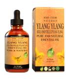 Ylang Ylang Essential Oil 4 oz - 100% Pure & Natural Premium Therapeutic Grade Ideal for Aromatherapy | Mary Tylor Naturals - Buy Online on GoSupps.com