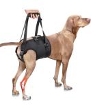 PZRLit Dog Lift Harness for Large Dogs - Adjustable Support Sling for Hind Legs Mobility - Ideal for Elderly, Injured or Disabled Dogs - Size Large - Buy Online on GoSupps.com