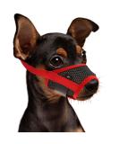 Shop Wllhyf Soft Nylon Dog Muzzle | Breathable & Comfortable Biting Chew Prevention | Adjustable Muzzle for Small Dogs (Red M) - Buy Online on GoSupps.com