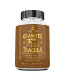 Ancestral Supplements Grass Fed Beef Tracheal Cartilage Supplement with Liver, Immune Health and Joint Support Supplement Promotes Healing, Non-GMO, 180 Capsules - Buy Online on GoSupps.com