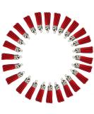 30pcs Red Leather Tassel Pendants with Silver Caps - Ideal for Jewelry Making and Crafts - Buy Online on GoSupps.com