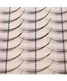 Scala Pro 3D Mink Phoenix Tail Cluster False Eyelashes - 16MM, C Curl, Eye Lash Extension Makeup Tools - Buy Online on GoSupps.com