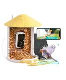 Birdfy Bird Feeder with Camera - AI Detection Video Recording & Solar Powered - Ideal for Wild Bird Feeding - Buy Online on GoSupps.com