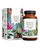Immune system complex - 500mg echinacea with vitamin C zinc selenium L -Histidin & Kalmegh - strengthen immune system * vegan & without additives - 120 Echinacea Purpurea capsules for 60 days - Buy Online on GoSupps.com