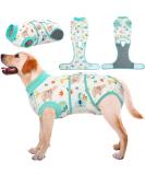 Kuoser Dog Body Suit for Post-Op Recovery | Breathable & Leakage Protection for Male & Female Dogs | XL Green - Anti-Licking Comfortable & Cute | 1 Pack - Buy Online on GoSupps.com
