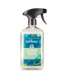 Aunt Fannie's All-Purpose Cleaning Vinegar Eucalyptus 16.9 fl oz (500 ml) - Buy Online on GoSupps.com