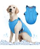 Kuoser Cool Vest for Dogs - XL Blue Cooling Jacket & Ventilated Coat for Outdoor Activities - Buy Online on GoSupps.com