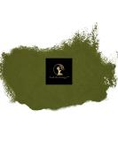 AseLife Energy Moringa Powder 1 OZ - Organic Superfood for Energy & Wellness - Ship Worldwide - Buy Online on GoSupps.com