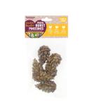 Rosewood Boredom Breaker Veggie Burst Pinecones Rabbit Treats & Small Animal Treats 6pc 75g - Buy Online on GoSupps.com