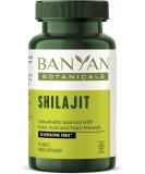 Banyan Botanicals Shilajit Tablets - Organic Mineral-Rich Supplement for Detox and Healthy Aging - 90 ct - Non GMO Vegan - Buy Online on GoSupps.com