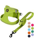Buy Bella & Pal Dog Harness for Small Dogs - Air Mesh Reflective Leash & Dishes - Perfect Fit (42-50cm) - Avocado Green - Buy Online on GoSupps.com