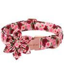 Unique Style Paws Flower Dog Collar - Red Pink Peony Cotton Collar for Girls - Comfortable & Durable with Metal Buckle - Size M (Neck 13.5-22in) - Buy Online on GoSupps.com