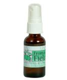 Catnip Spray Rejuvenator - 1 Unit | Natural Catnip Spray for Playful Cats - Buy Online on GoSupps.com