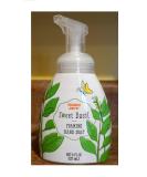 Trader Joe's Sweet Basil Foaming Hand Soap - 8oz (237ml) - Buy Online on GoSupps.com