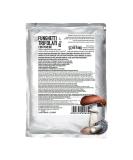 Sauteed and Porcini Mushrooms 600g (Stropharia rugosoannulata Boletus edulis and Group) - Buy Online on GoSupps.com