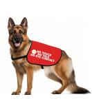Nervous Dog Jacket Vest Service Dog Working Dog No Touch No Talk No Eye Contact Slogan Warning Vest (EYE CONTACT M) - Buy Online on GoSupps.com