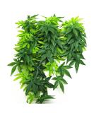 EXFEA Artificial Aquarium Plant Hanging Reptile Plastic Green 50cm 50cm 1 - Buy Online on GoSupps.com