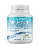 Nature's Stance XyliDENT Xylitol Tablets for Dry Mouth Relief - Wintergreen 100 Count - Stimulates Saliva, Freshens Breath, Reduces Acid Production - Fast Acting Relief - Buy Online on GoSupps.com