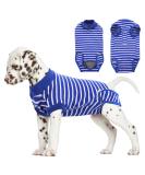 Breathable Post-Op Dog Body for Male Castration | Velcro Blue & White Striped Recovery Suit - Buy Online on GoSupps.com